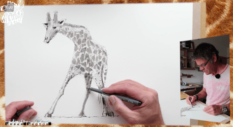 Zoo Sketch Giraffe by kayjkay on DeviantArt